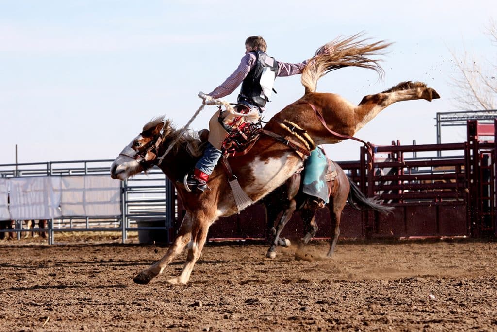 Cheyenne Frontier Rodeo Arrives in July 2025